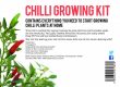 Chilli Growing Kit
